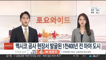 멕시코 공사 현장서 발굴된 1천400년 전 마야 도시