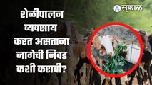 शेळीचे शेड कसे असावे? | Goat Shed Construction  | Sakal Media |