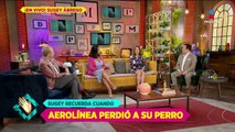 Sugey Ábrego vivió momentos de TERROR cuando aerolínea perdió a su perro