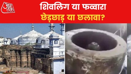 Gyanvapi Case: 'Survey Report should not be made public'