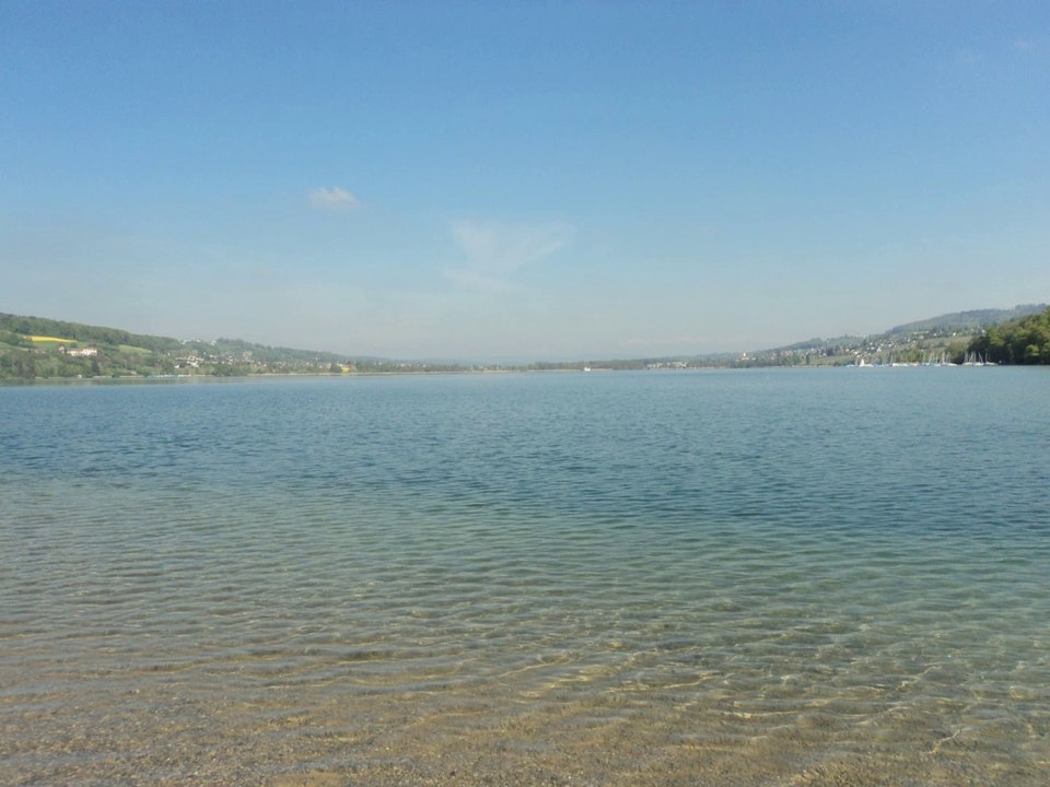 Am Hallwilersee