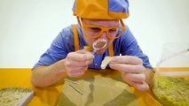 Aprende sobre dinosaurios con Blippi | Aprende con blippi | Videos educativos para niños