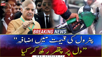 Approved hike in fuel prices with heavy heart: PM Shehbaz