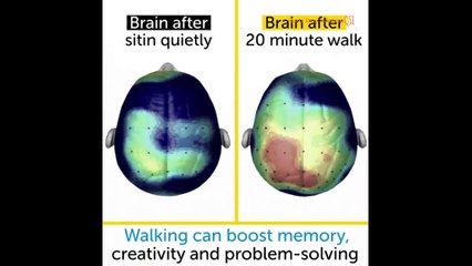 What We Can Learn From Einstein’s Quirky Habits