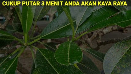 Auto Kaya Jadi Milyader Setelah Amalkan Ini