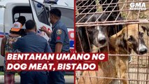 Bentahan umano ng dog meat, bistado | GMA News Feed
