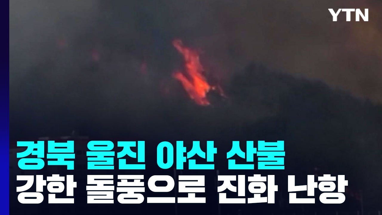 경북 울진 행곡리 야산 불...마을 주민 대피령 / YTN