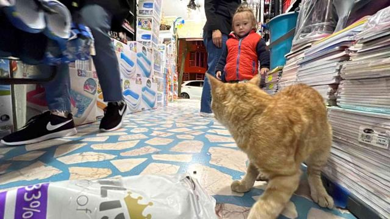 Akşam dükkan kapanırken geliyor sabaha kadar gi...