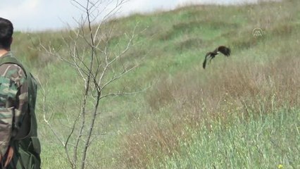 Şahincilik, Kuzey Makedonyalı Kitanovski için bir yaşam biçimi