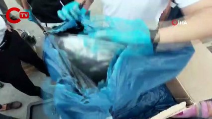 Mersin Limanı'nda konteynerde 5,8 kilo skunk ele geçirildi