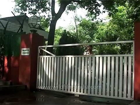 Indira Gandhi Memorial Museum, New Delhi