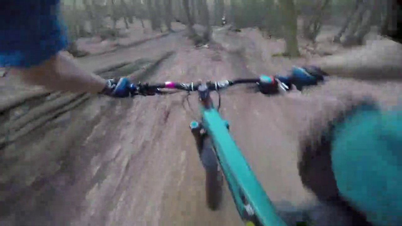 Cycling in the forest mountains