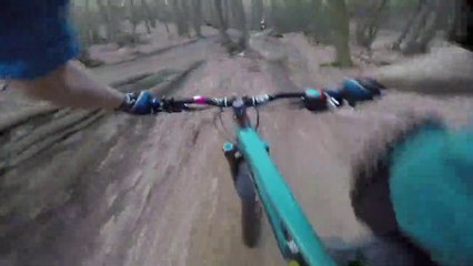 Cycling in the forest mountains