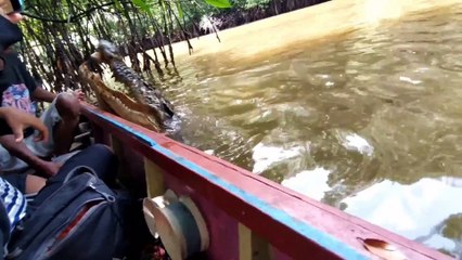 PERTAMA NYENTUH SI BUAYA BERNAMA RISKA