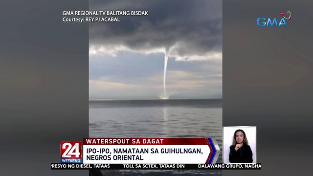 Ipo-ipo, namataan sa Guihulngan, Negros Oriental | 24 Oras Weekend