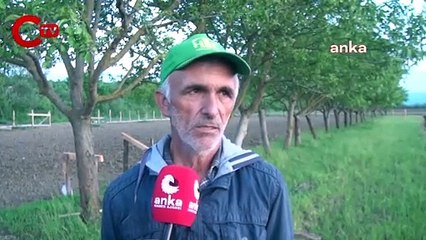 Sinoplu çeltik üreticisi 'Kilosu 10 lira civarında olursa, ancak kurtarır'