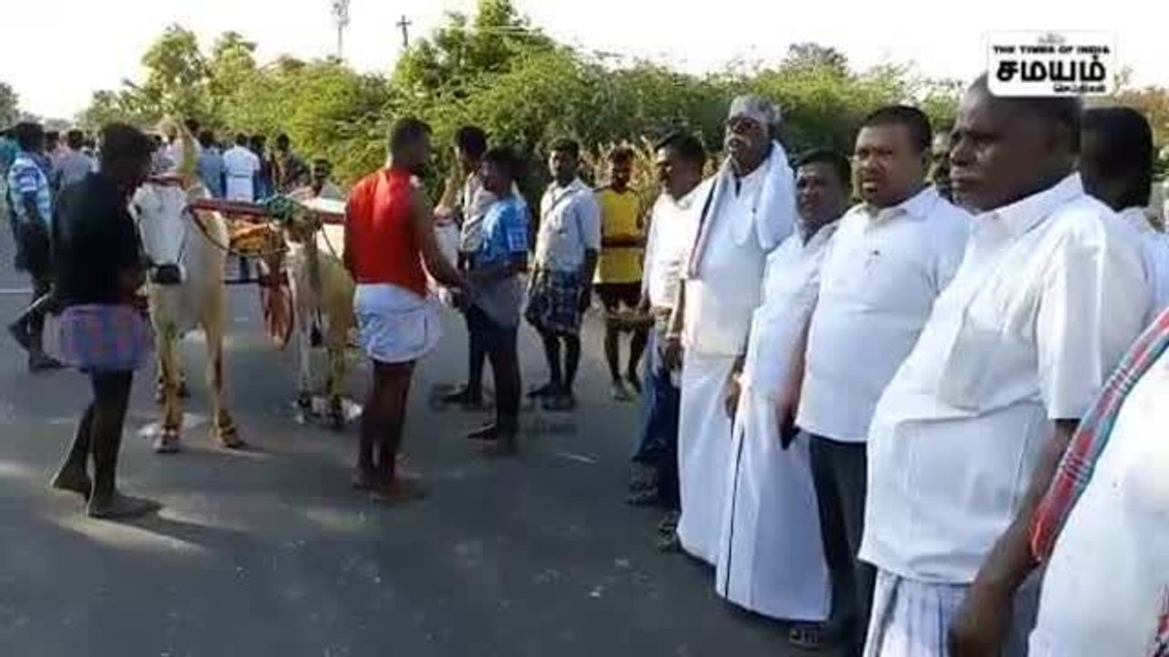 மாட்டுவண்டி பந்தயம்; எம் பி துவக்கி வைப்பு!