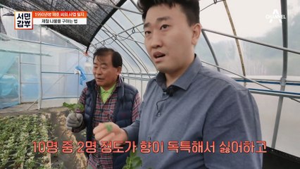 재배 농가 방문에 농민들의 애로 사항 체크까지★ 나물을 안정적으로 수급하는 갑부의 노하우