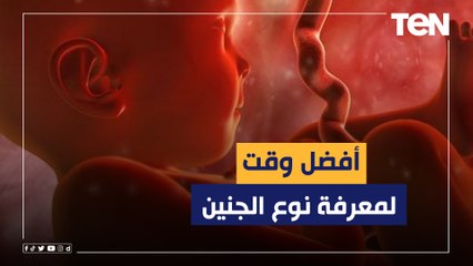 إمتى تقدري تعرفي نوع الجنين؟.. إعرفي الدكتورة إبتهال الطيب