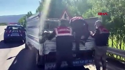 Van'dan Ağrı'ya götürülmek istenen 2,5 ton inci kefali ele geçirildi