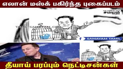 எலான் மஸ்க் பகிர்ந்த புகைப்படம் - தீயாய் பரப்பும் நெட்டிசன்கள்