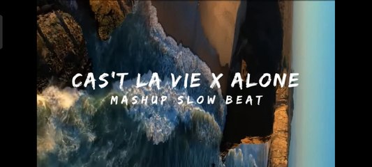 DJ campuran, C'est La Vie x Alone Mashup (Melodi Santai)