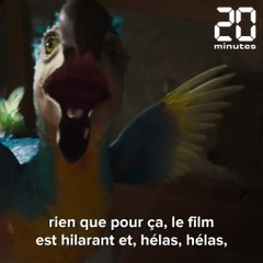 « Dodo », film palmé avant l'heure, défraie la chronique