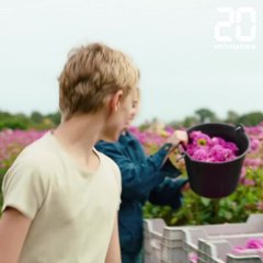 « Close » de Lukas Dhont, la Palme d'or idéale ?