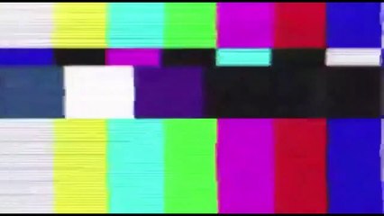 Kumpulan tingkah lucu para kucing