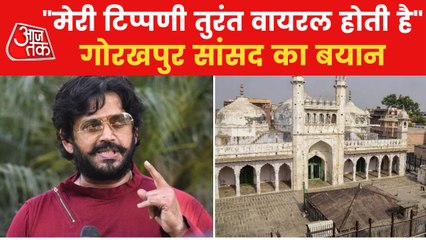 'It's painful to see Nandi like this': MP Ravi Kishan