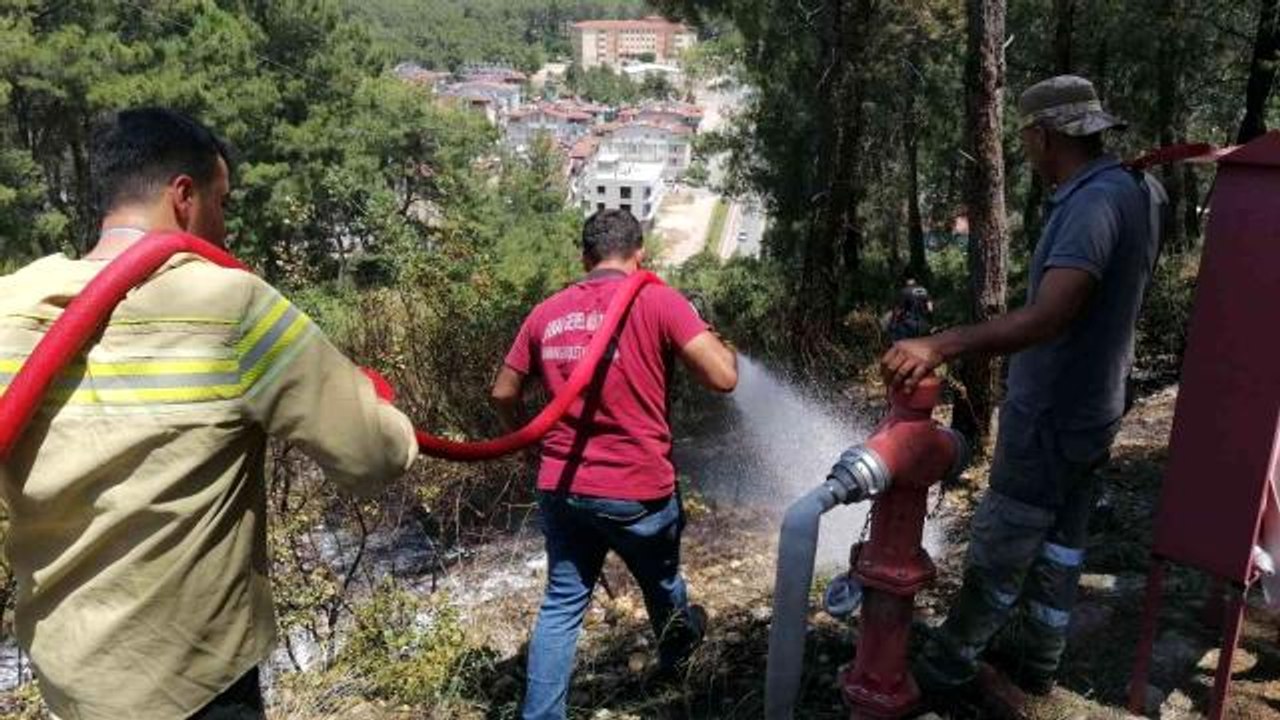 Ormanlık alanda çıkan yangın büyümeden söndürüldü