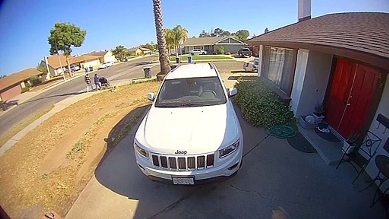Barking Dog Breaks Through Window