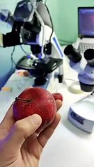 شاهد ماذا يوجد في الفاكهه | fruit spores