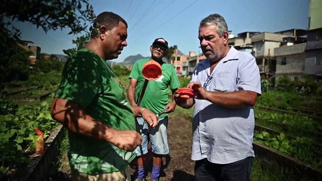 حديقة في حي فقير من ريو دي جانيرو توفّر الغذاء الصحي لعائلات محتاجة