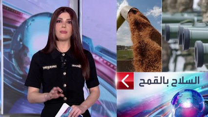 الساعة 60| القمح مقابل السلاح.. أوكرانيا تحت ضغط الغرب وروسيا