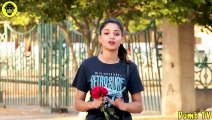 Prank _Girl Giving Flower Prank in public_funny video