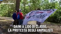 Daini a Lido di Classe, la protesta degli animalisti