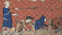 What was Work like for Medieval Peasants?