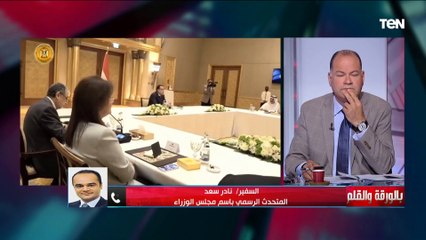 ما هي القطاعات المتوقع التعاون فيها مع المستثمرين الإماراتيين في مصر؟ السفير نادر سعد يوضح