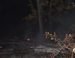 Kozan'da çıkan orman yangınına müdahale ediliyor (2)