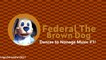 Dancing Federal The Brown Dog: Nonage Music #1 | LSF2021