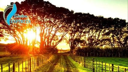 A PSICOGRAFIA QUE VIROU LIVRO É MUITO LINDA