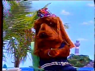 TV COLOSSO- FÉRIAS NA TV COLOSSO