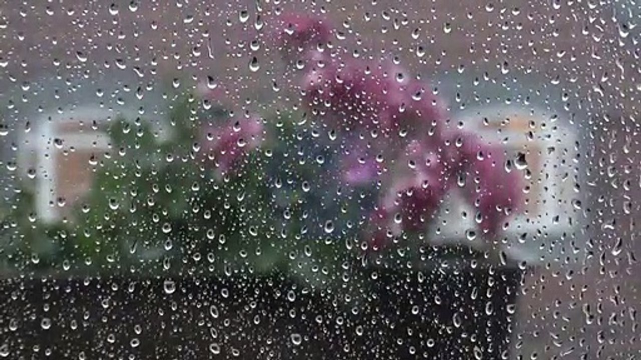 Rain Relaxation