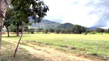Rats are being trained to be sent into earthquake debris wearing tiny backpacks