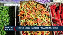 Harga Cabai Rawit Terus Melejit, Tembus Rp 70 Ribu Per Kilogram