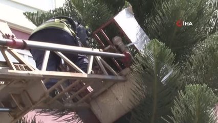 Ağaçta mahsur kalan kedisine kavuşunca büyük mutluluk yaşadı