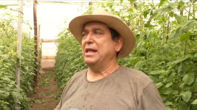 El Gobierno planea introducir a extranjeros en el mercado laboral