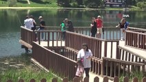 Tatilciler sıcak havada Gölcük Tabiat Parkı'na akın etti
