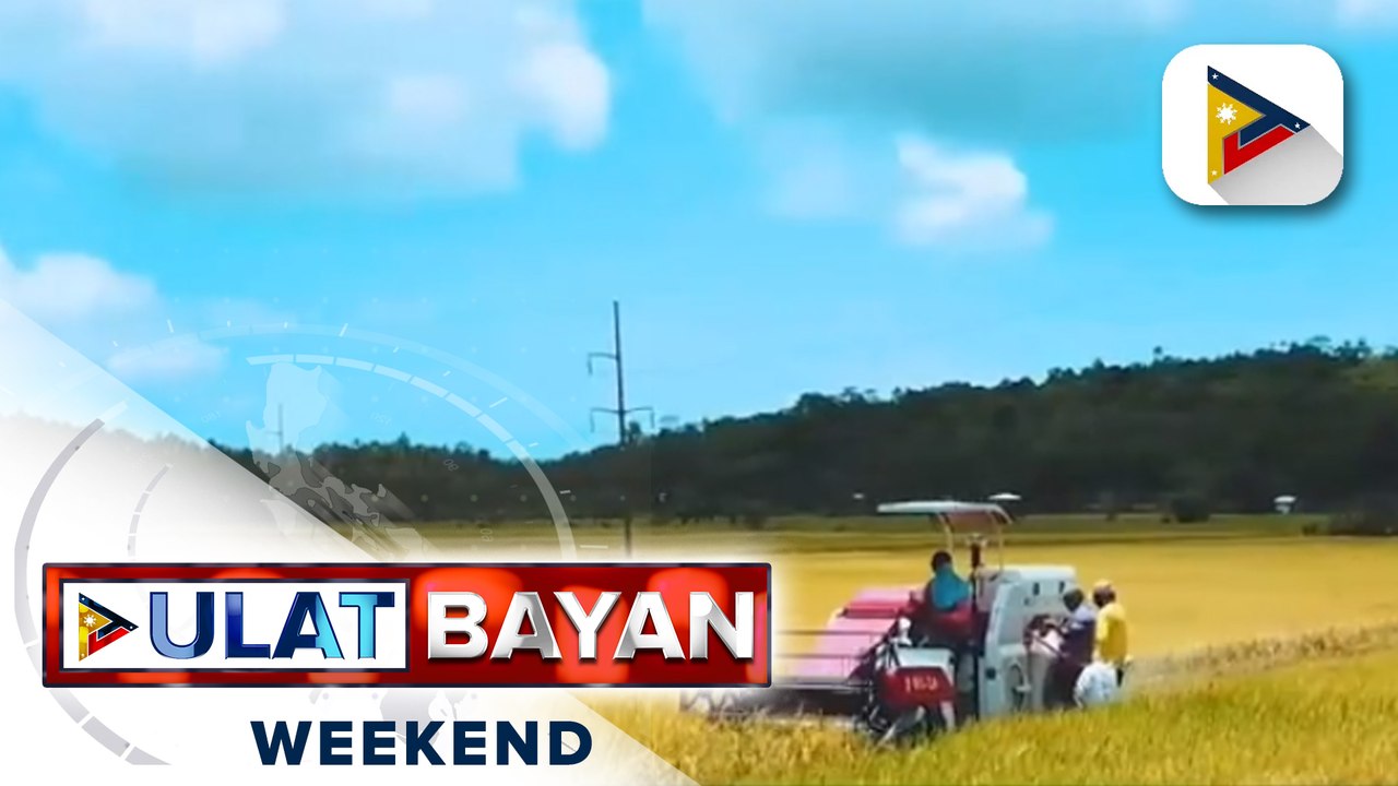 DA, tiniyak ang sapat na suplay ng bigas sa bansa; Importasyon ng isda, tuloy pa rin